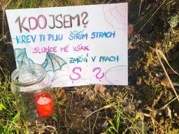 vlcata a stezka odvahy19